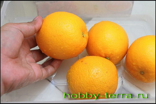 моем апельсины
