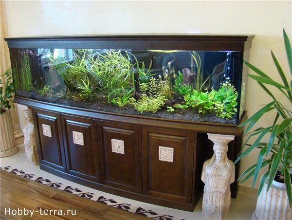как выбрать аквариум