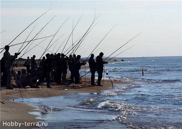 рыбалка в Сочи